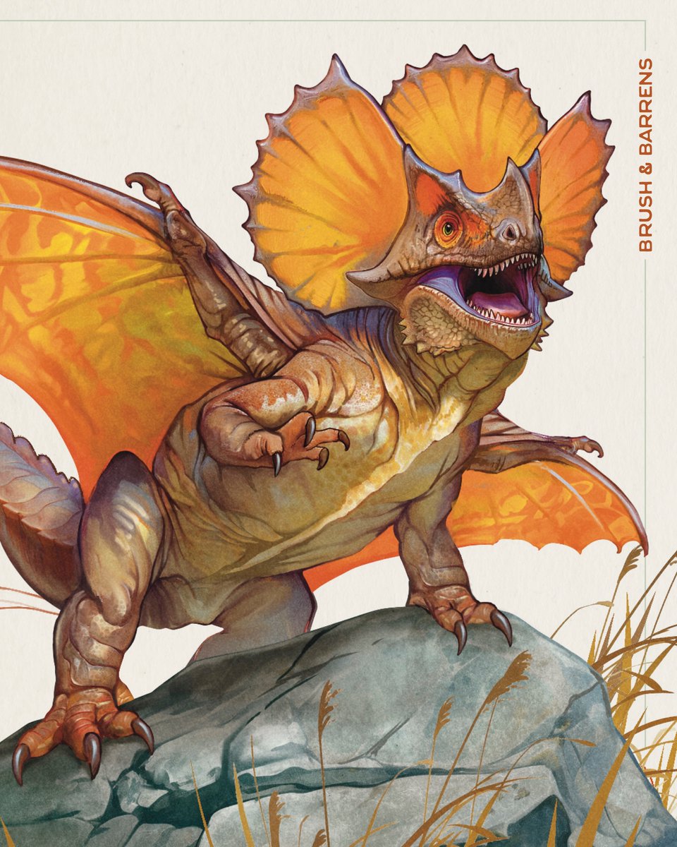 Batesian Mimicry:
(noun) zoology
the evolutionary art of deception; when a harmless species survives by imitating the warning colors or traits of a dangerous one, fooling predators into keeping their distance.

Some dragons like the Flamefrill have no fire to breathe, but burn