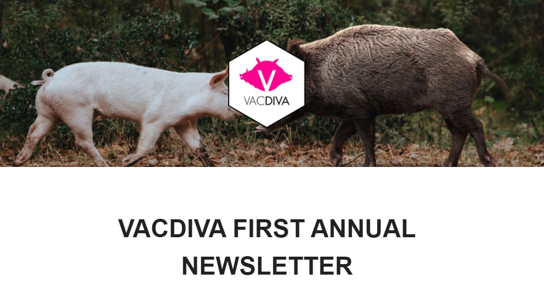 VACDIVA tweet media