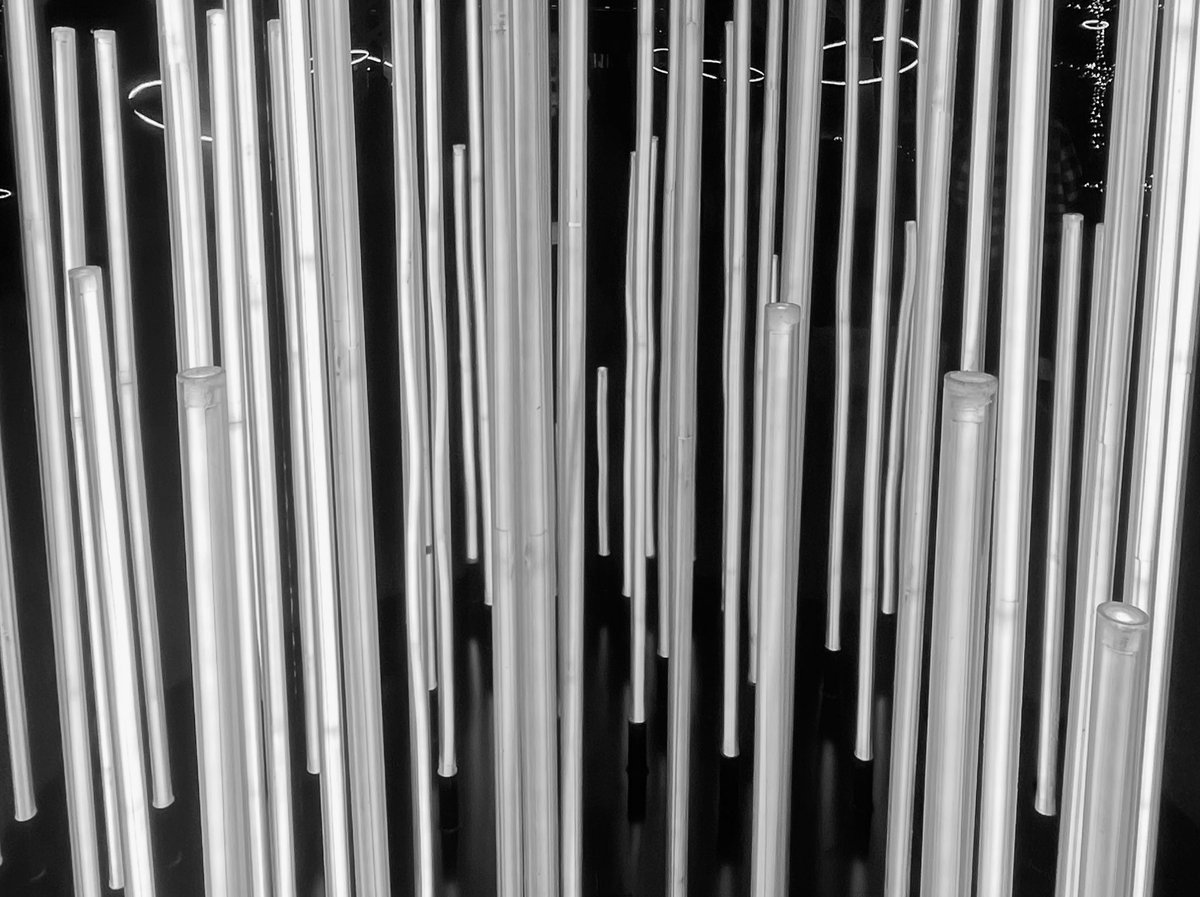 1週間ぶりの布団
3日ぶりの風呂
生きてる
沁みる…