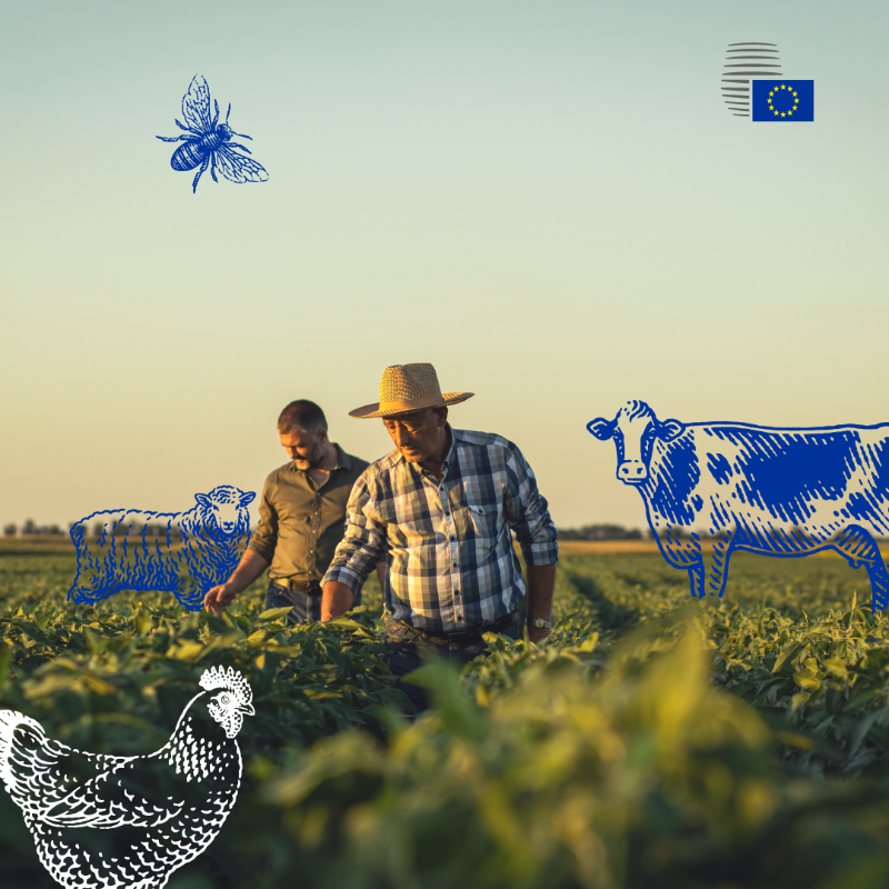 EUCouncil's tweet photo. Deal on simpler rules for farmers! 🌾

The rules will help boost the sector's competitiveness by:
 
🔹 reducing administrative burden
🔹 simplifying payment schemes
🔹 increasing payments to farmers

More info 👇
https://t.co/KRRtVDmfFT 
 #CAP