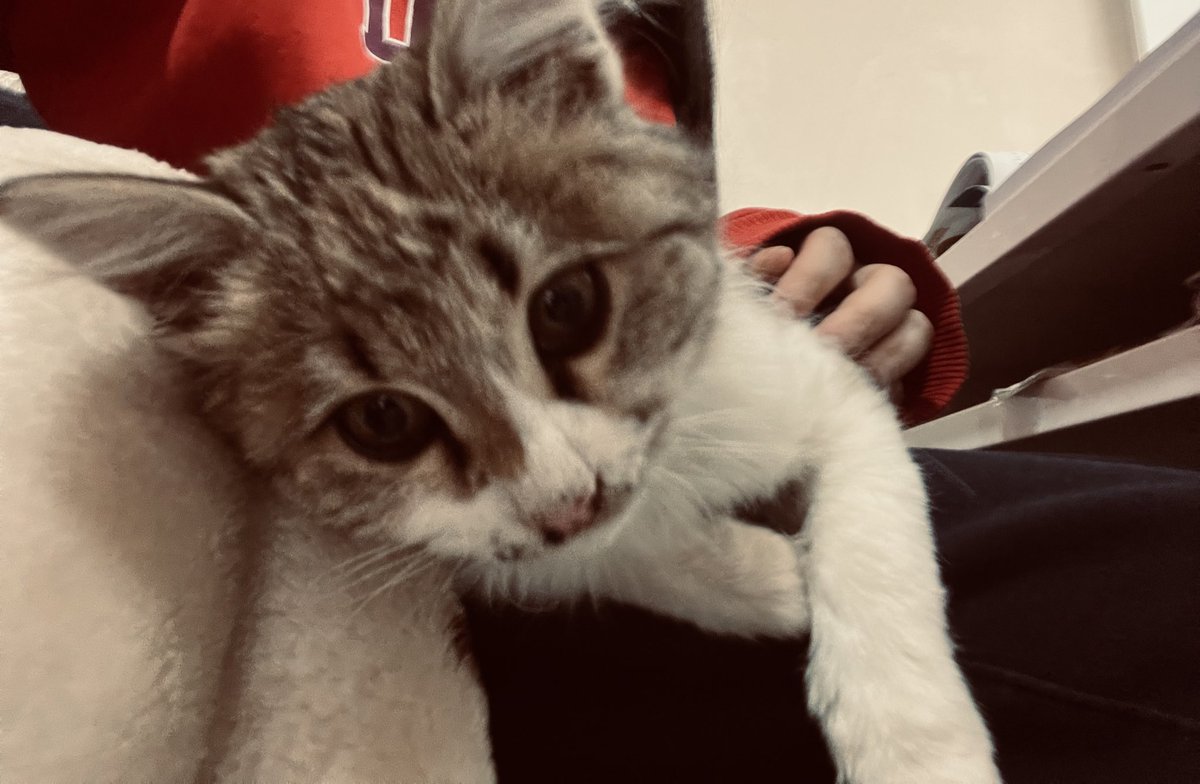 Sıcak nevalem ders çalışmama izin vermiyor