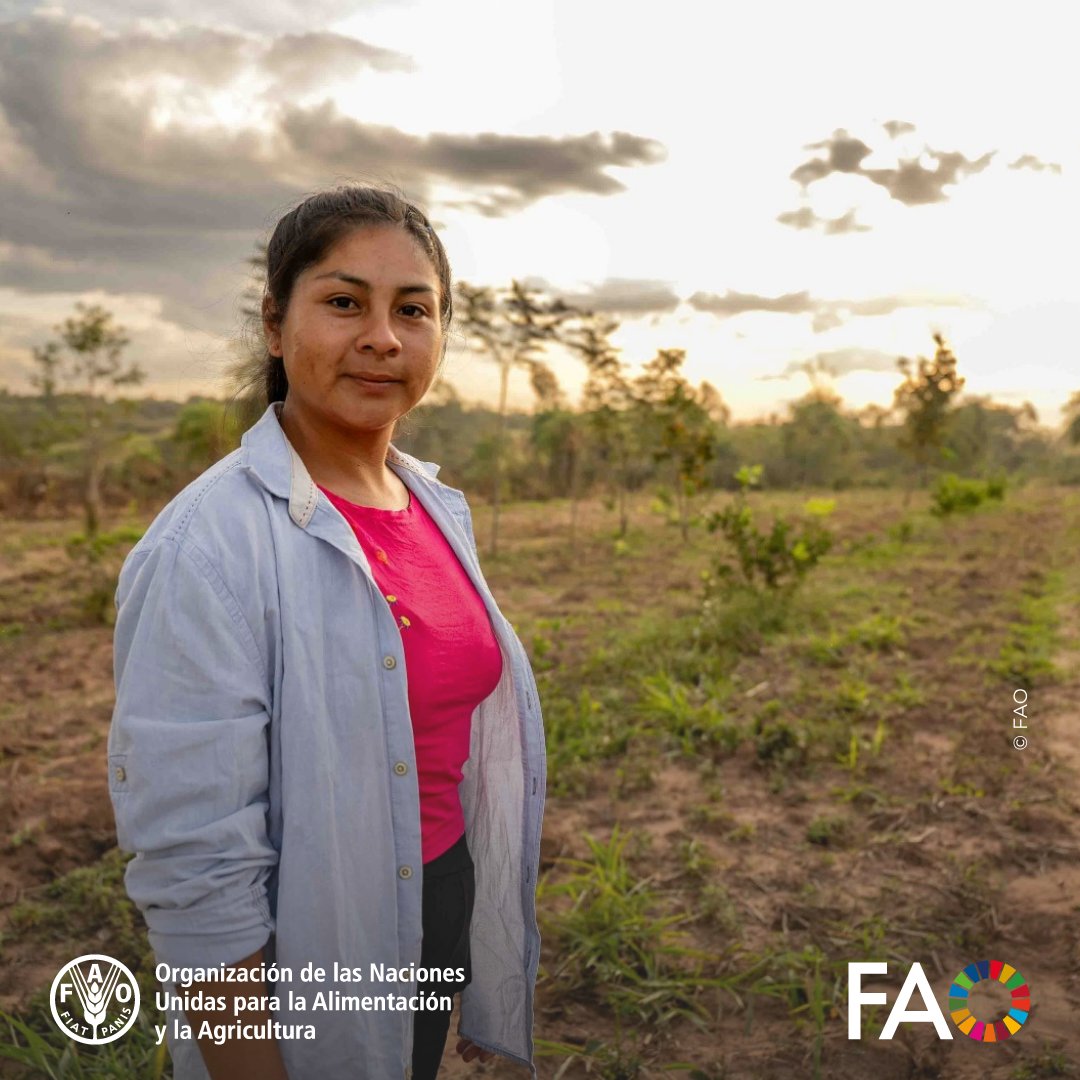 FAOAmericas's tweet photo. 🌳 En Canindeyú, Paraguay 🇵🇾, el bosque es un hogar: da alimento, medicina y esperanza.
Gracias al proyecto #PROEZA, mujeres como Teodora y Elva están restaurando sus bosques y construyendo un futuro más verde para sus comunidades. 🌱💧
🔗 https://t.co/mE57ZCaYIr https://t.co/SklemrP3Is