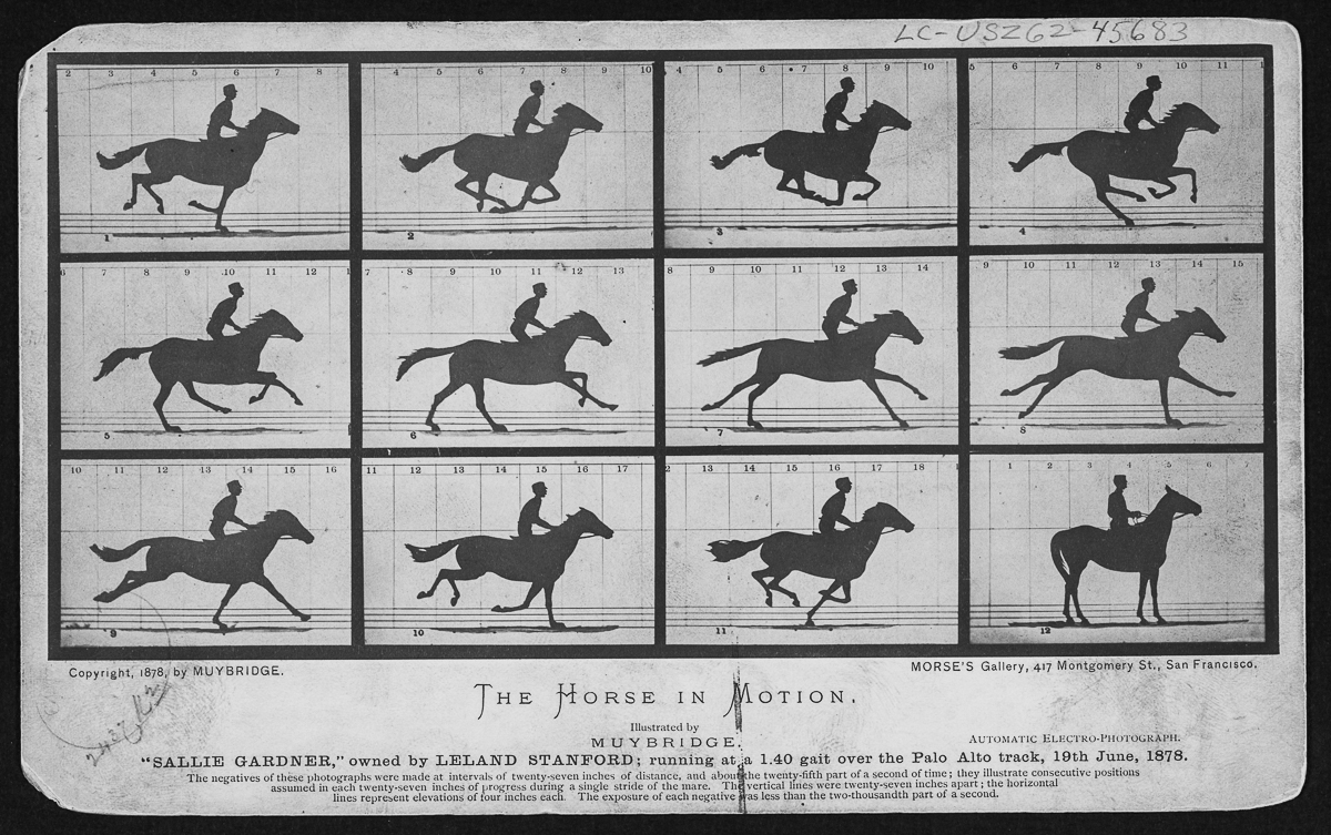 RealPreCinema's tweet photo. And here, the actual photograph, (frame 3) taken from the 12 electro-photograph series, showing the racing filly Sallie Gardner with all four of her hooves off the ground.
Exposed at #PaloAlto track #19June1878 at 1/2000th of a second or less. The jockey was #GilbertDomm.
‘The Horse in Motion’ proof sheet. The horse Sallie Gardner, running at a 1:40 pace over the track. Frames 1-11 were used to make the #animation (Zoopraxiscope disk in 1878). The filly became a mare in 1879.