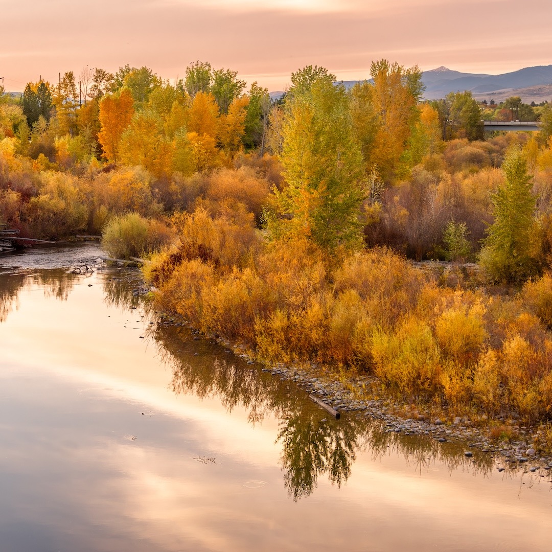 Here’s your reminder to always look up! Missoula is always serving beautiful skies you won’t want to miss.