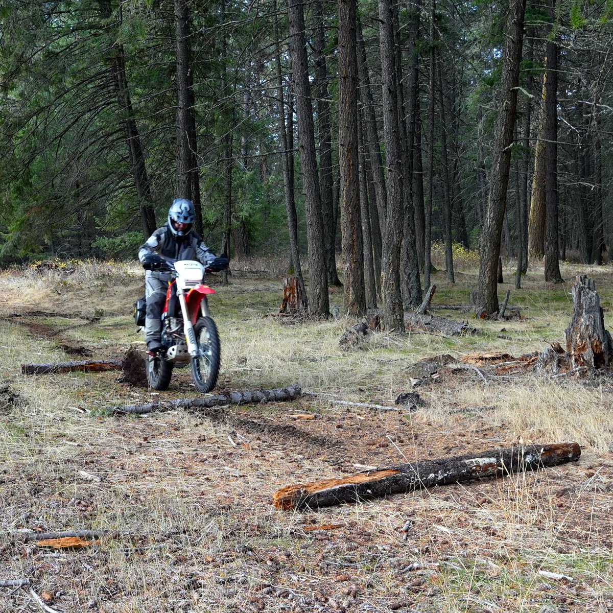 Took my 47-year-old CB400 on a “vintage hard enduro” mission 😂
Gravel, ruts, and way too much faith in 1970s suspension…
🗓️ Scouting vid Friday
🏁 Collab + lessons Saturday

She survived. Barely. 🤘 #CB400 #HardEnduro #AdventureRiding