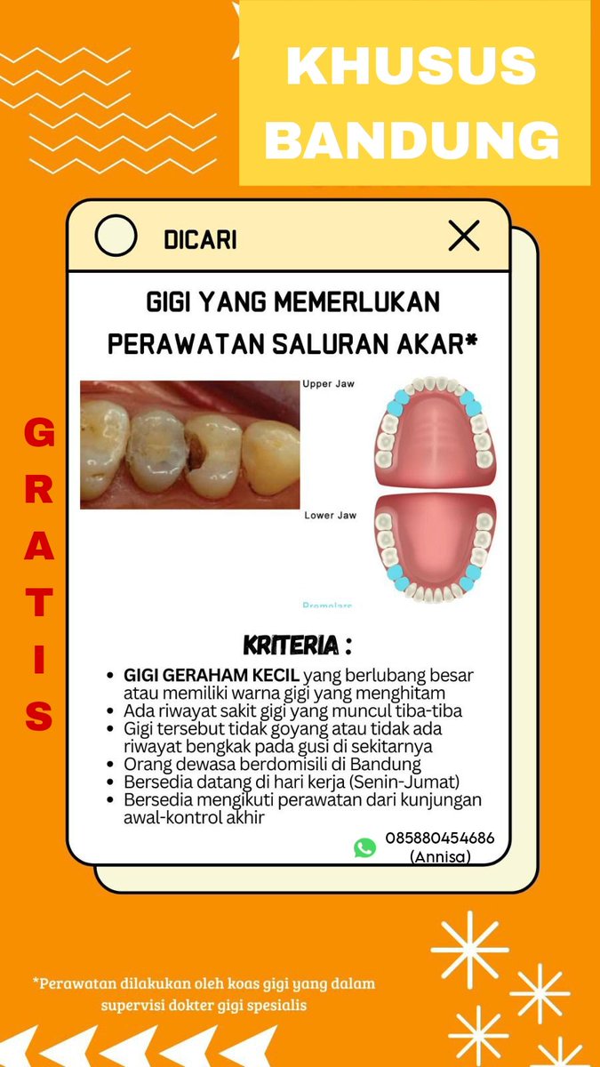 ruwbi - koas gigi bandung tweet media
