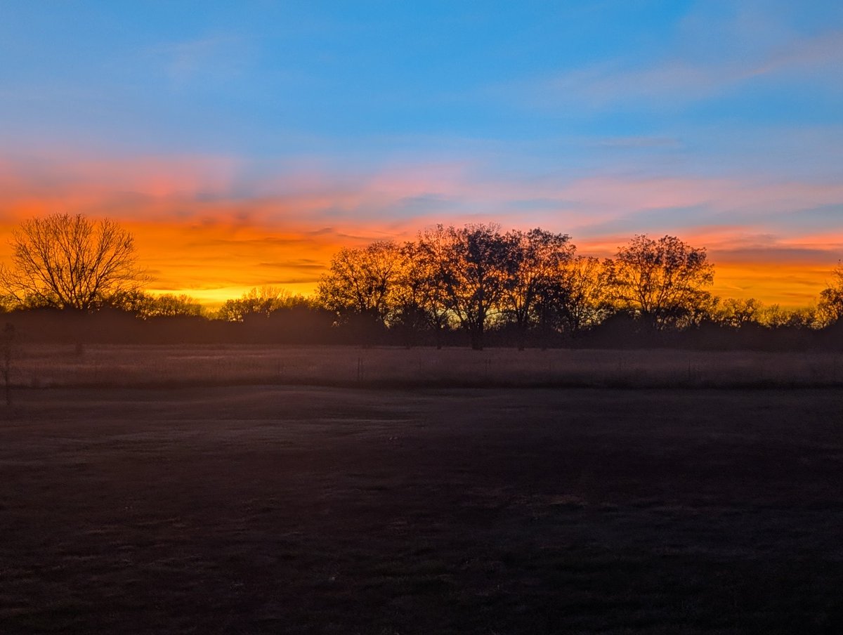 Lucy McMath tweet media