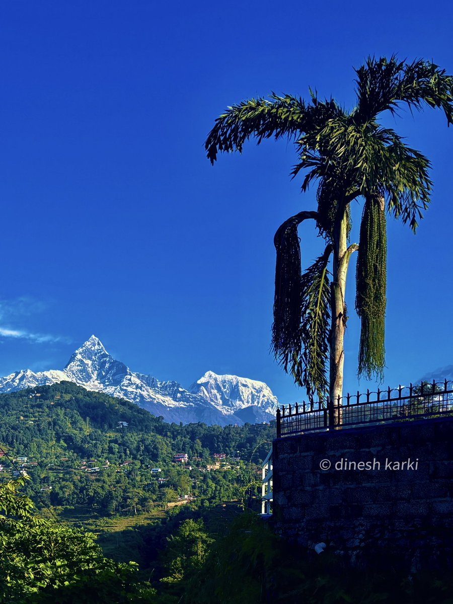 karki_1234's tweet photo. Good Morning
#methlang
#pokhara https://t.co/lxtuq95uen