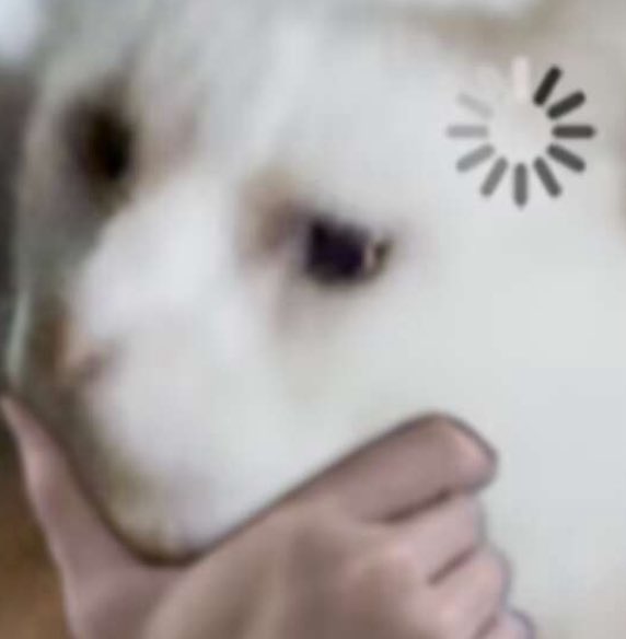 Sorry, I’d like to know whether selling an unofficial, fan-made artbook related to RDR is allowed？I’m not familiar with the relevant regulations, so I just want to understand the rules a bit better