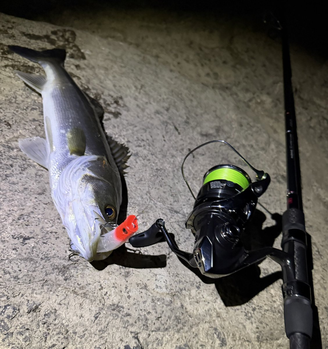 hirowsfishing's tweet photo. 岡山の友達にガイドしてもらった✌️
ポイント選びや教え方全部神がかってた
ランカー届かずだったけどめちゃくちゃ楽しい釣行になりました

 #SHIMANO
 #天龍
 #TWINPOWER
 #DIALUNA
 #SWAT https://t.co/UWT2XlW2hr