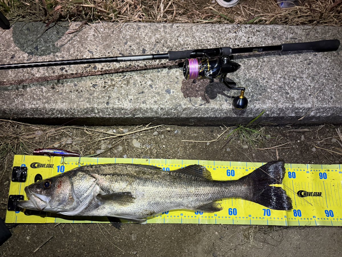 hirowsfishing's tweet photo. 岡山の友達にガイドしてもらった✌️
ポイント選びや教え方全部神がかってた
ランカー届かずだったけどめちゃくちゃ楽しい釣行になりました

 #SHIMANO
 #天龍
 #TWINPOWER
 #DIALUNA
 #SWAT https://t.co/UWT2XlW2hr
