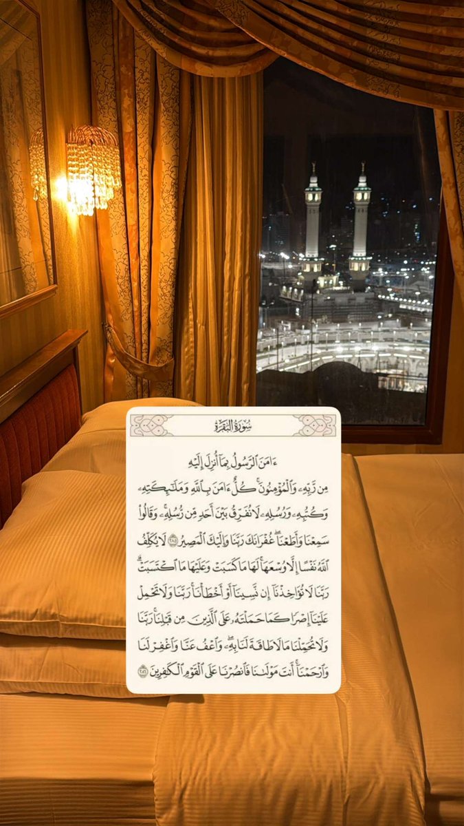 IIASII__'s tweet image. 