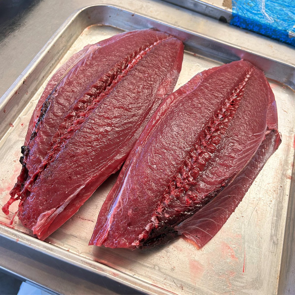 katuo2go's tweet image. 今日は一隻だけの水揚げでした。