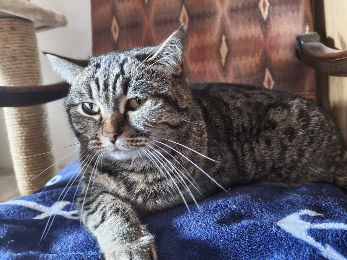 🇺🇦Мультик🇺🇦 tweet media