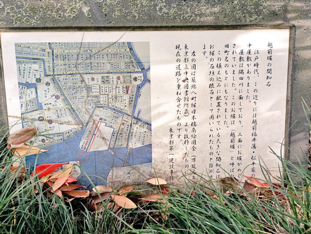 brightone_mama's tweet photo. 松平家おっき!!
中央大橋の新川側の袂あたりにあるこの植え込みの石は、松平家に面した越前堀の石垣のものと推測されているそう。
越前堀は1624年にできたとか。
形を変えて今でもここにあるのかもと思うと、武士が歩いてる風景とか想像が広がる～

Shino
#歴史 #中央区 #街角 https://t.co/FIicEzufva