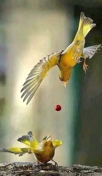 💚اَلسَلامُ عَلیکُم ورحمۃ اللہ وبرکاتہ 🤲🙏🌹🕋❤
💓صبح بخیر💚 
جو “رب”کے دیئے ھوئے 
رِزق کو کافی سمجھے
وہ "زِندگی" میں کبھی
کِسی اور کا "مُحتاج" نہیں ہوتا
یا اَللّٰہ ہمہں حلال رِزق سے نواز
التجا ہے کہ ہمیں کبھی اپنے سِوا کِسی
 کا مُحتاج نہ کرنا 💜