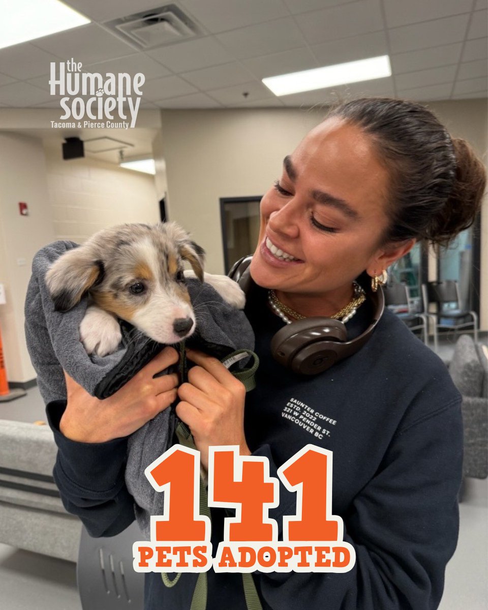 All we can say is WOW!🤩💚🐾

You all really showed up this last week and gave homes to 141 shelter pets!

The breakdown?
🐶52 dogs
😺83 cats
🐇6 critters

We hope these new families are settling in nicely.

Congratulations!🎉