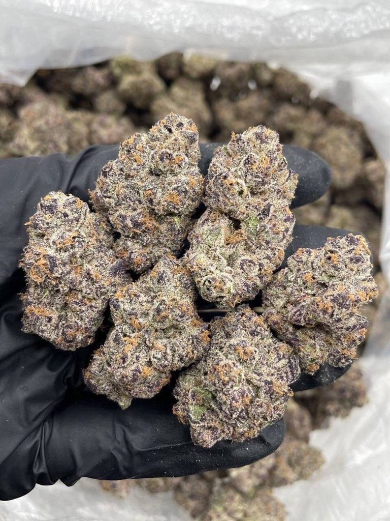 Give me a name and get free zip free 

signal.group/#CjQKIEchHx9bG…