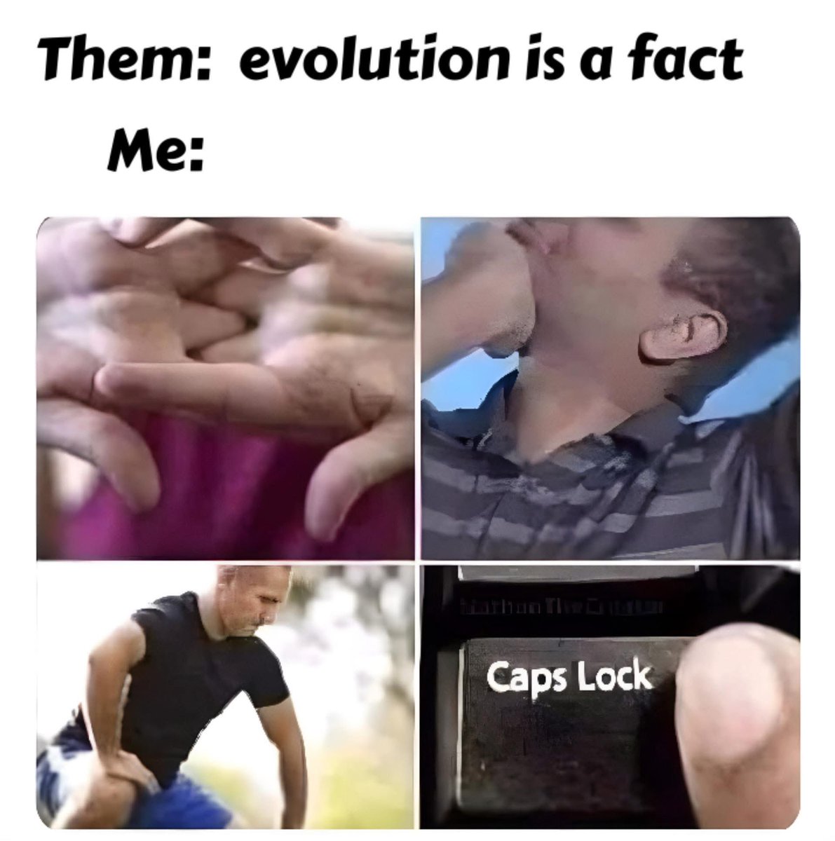 Not Evolution tweet media