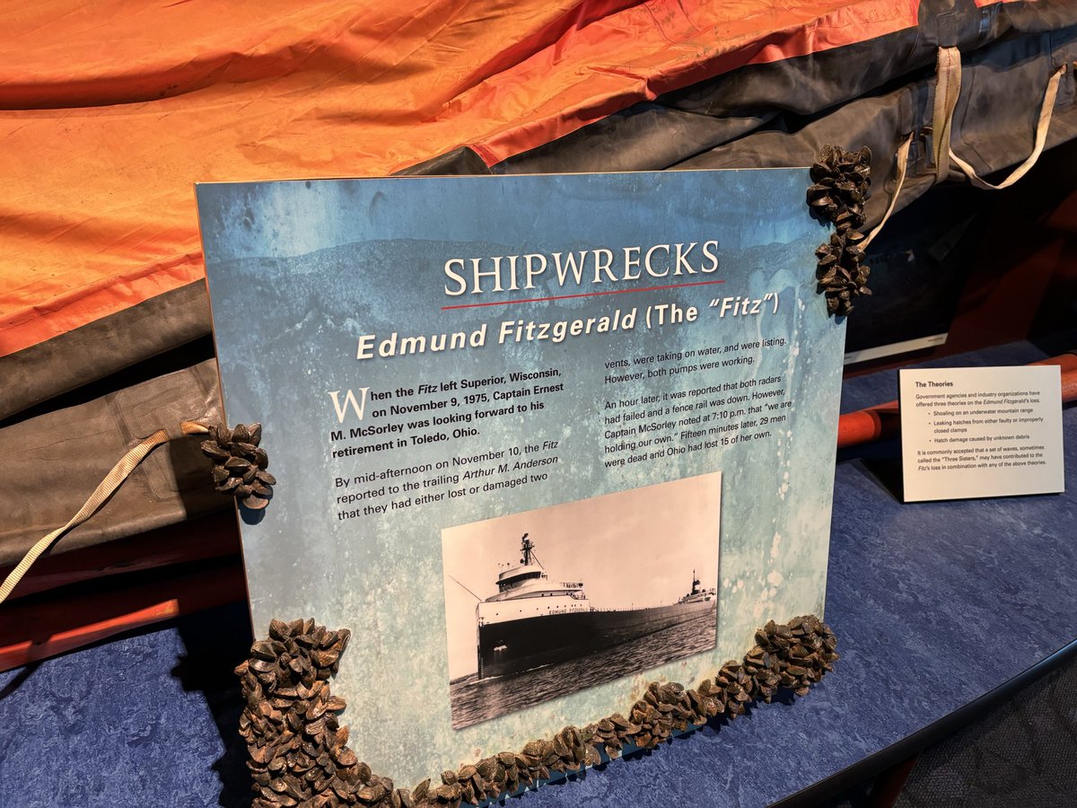 Shawn Bednard tweet media