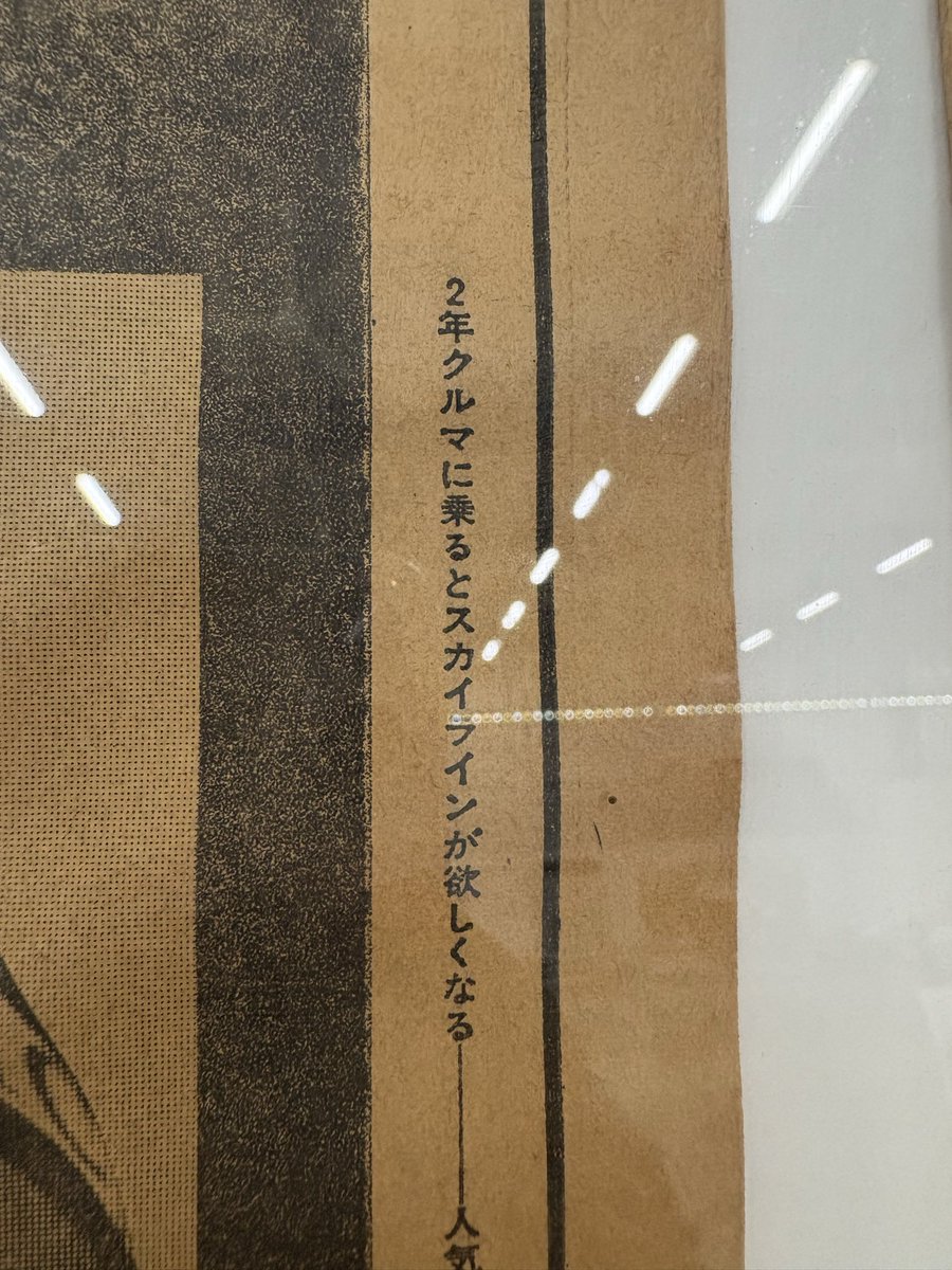 ヨッコイしょーいち on X