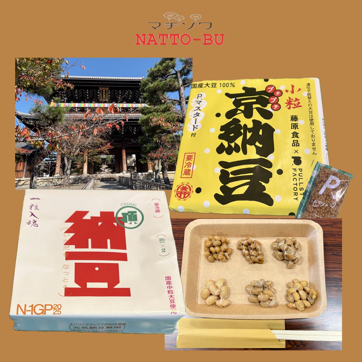 諸国漫遊Cafe SUNBEAR tweet media