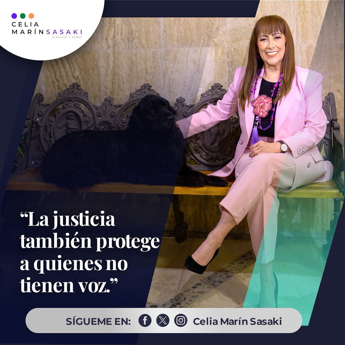 Proteger animales es también protegernos: la violencia no distingue especie.
La crueldad hacia ellos es el primer paso hacia otras formas de violencia. 🚫🐕❤️⚖️

#BienestarAnimal #NoAlMaltratoAnimal #MéxicoSinCrueldad #ProtecciónAnimal #Empatía
#yoconceliaparaPresidentA