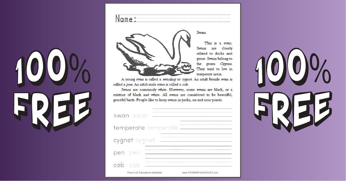 studenthandouts's tweet image. Swans Informational Text Coloring Sheet - Free to print (PDF file) for lower elementary students. #science #freeprintable #lowerelementary studenthandouts.com/science/lower-…
