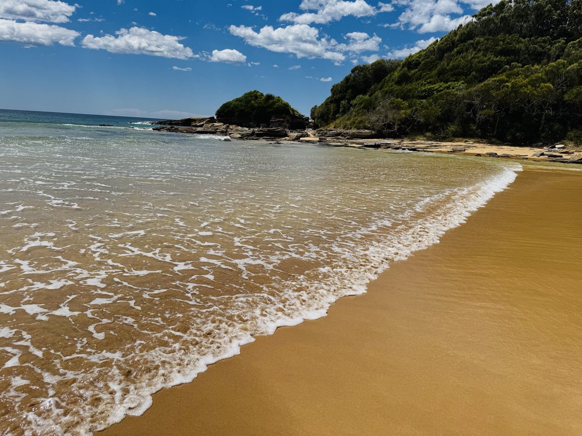 Walkie time 🚶🏻🐶