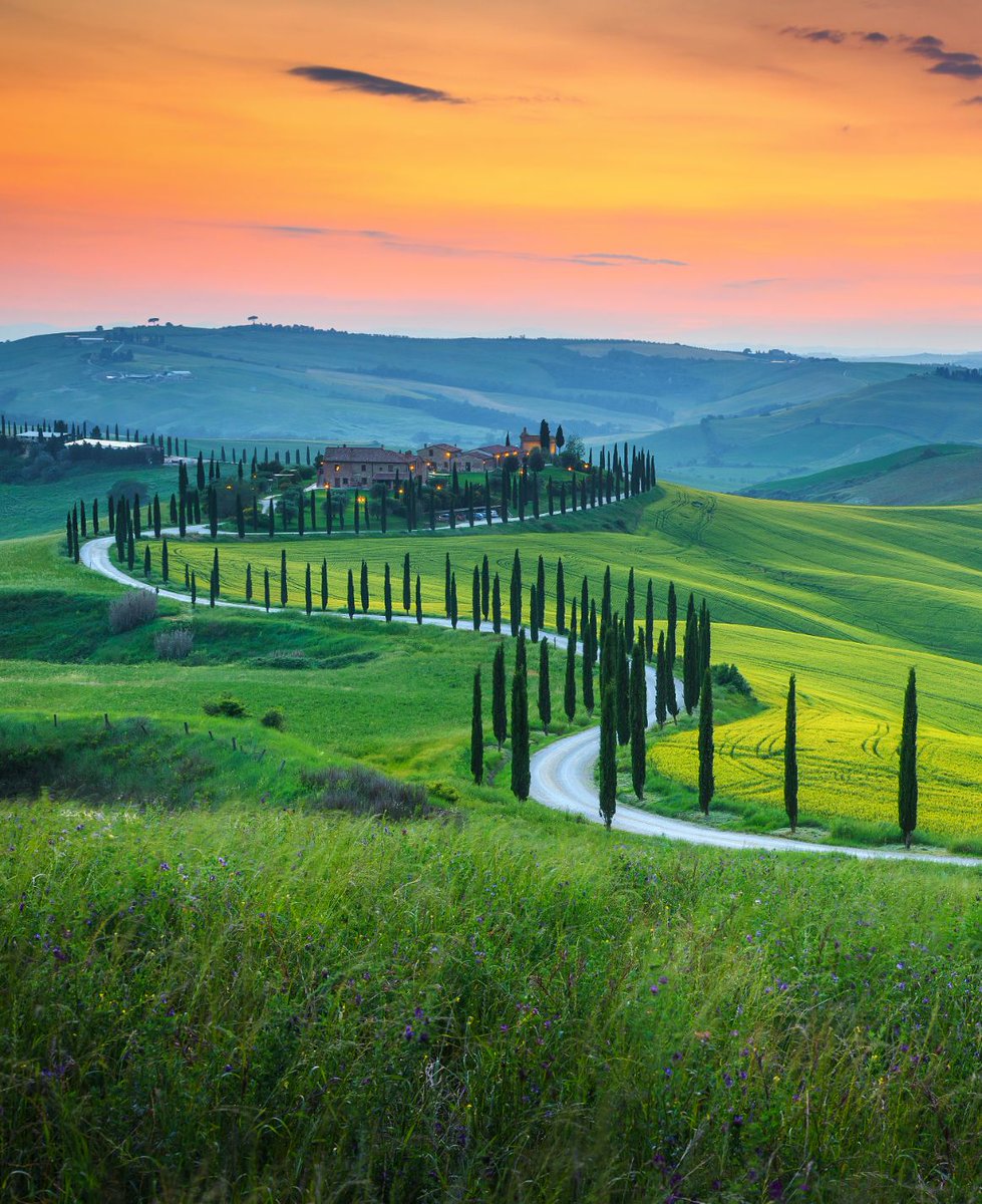 Tuscany, Italy  #CypressRoad #Sunset