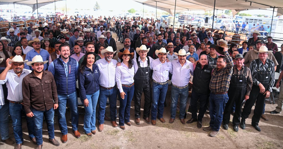 Esteban Villegas V. tweet media