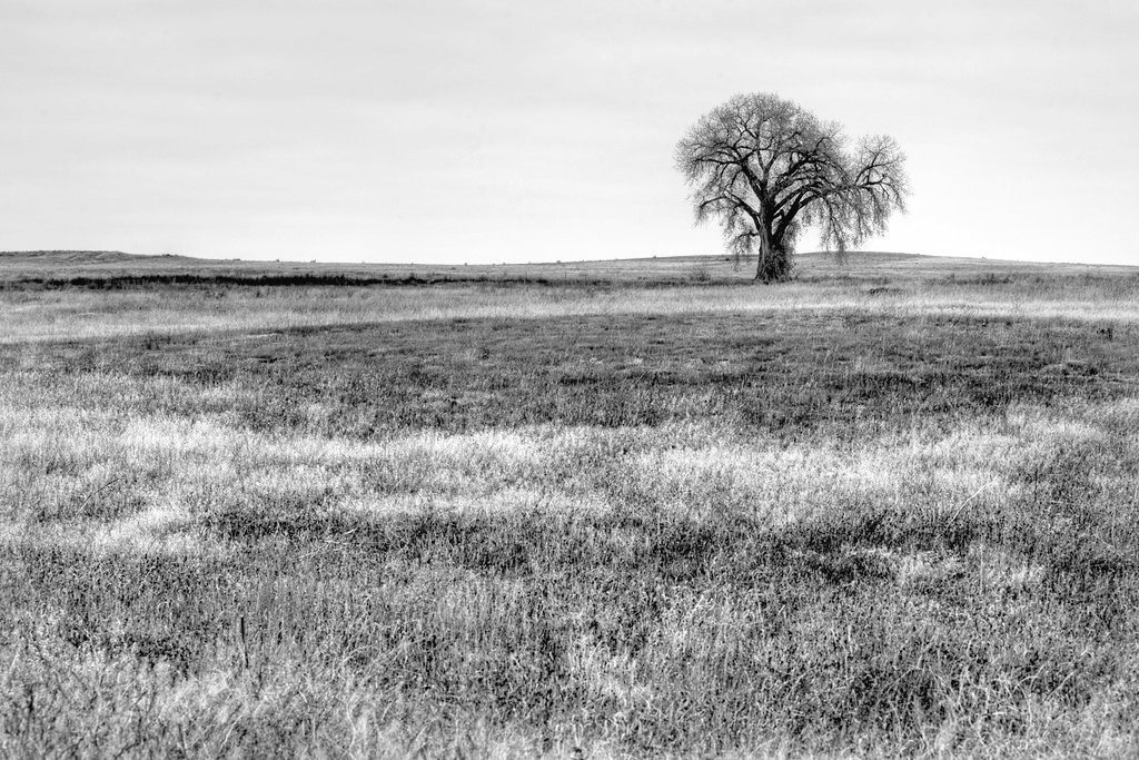 atothej428's tweet image. 