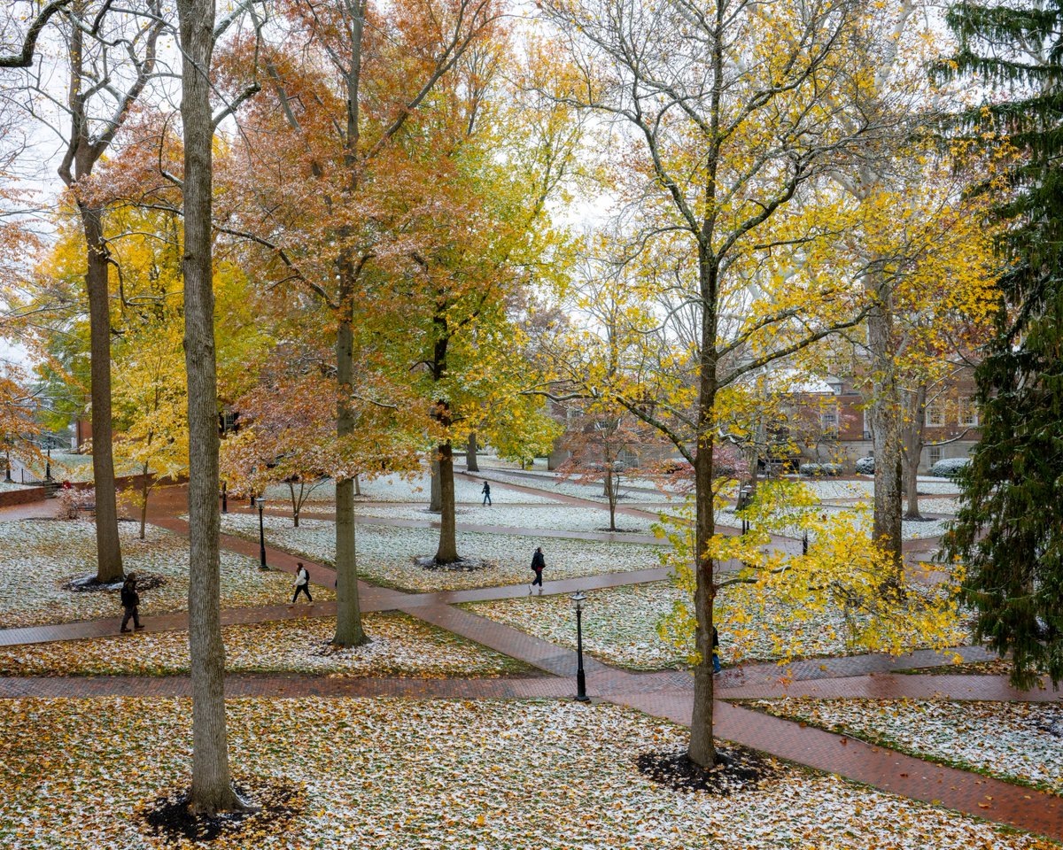 ohiou's tweet image. Snow falling 🤝 Falling leaves