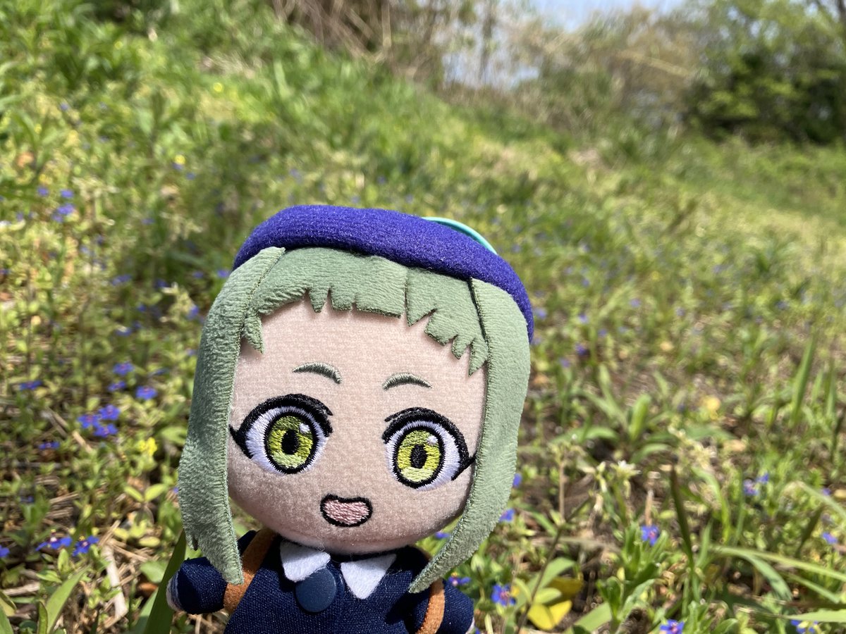 amanenui0627's tweet photo. https://t.co/OAiO6lVhNd
