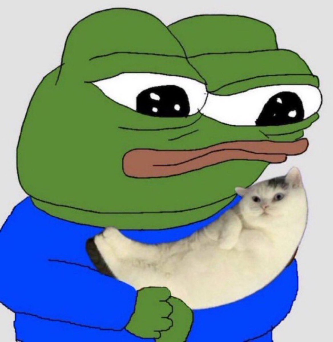 until we meet again, kitty.