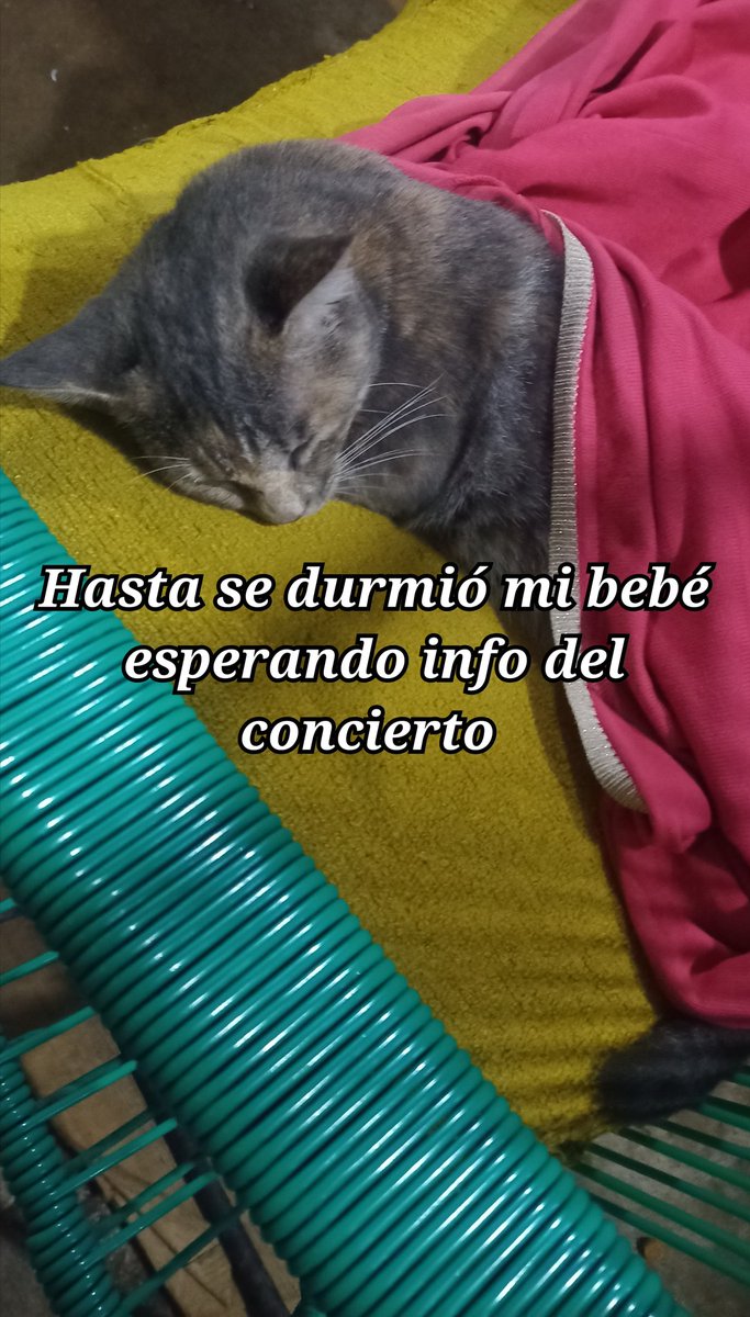 Harta la tengo con el mismo cuento... Necesitamos la info <a href="/FNC_ENT/">FNC Ent.</a>  <a href="/NFlyingofficial/">엔플라잉 (N.Flying)</a>  #NflyingInLatam