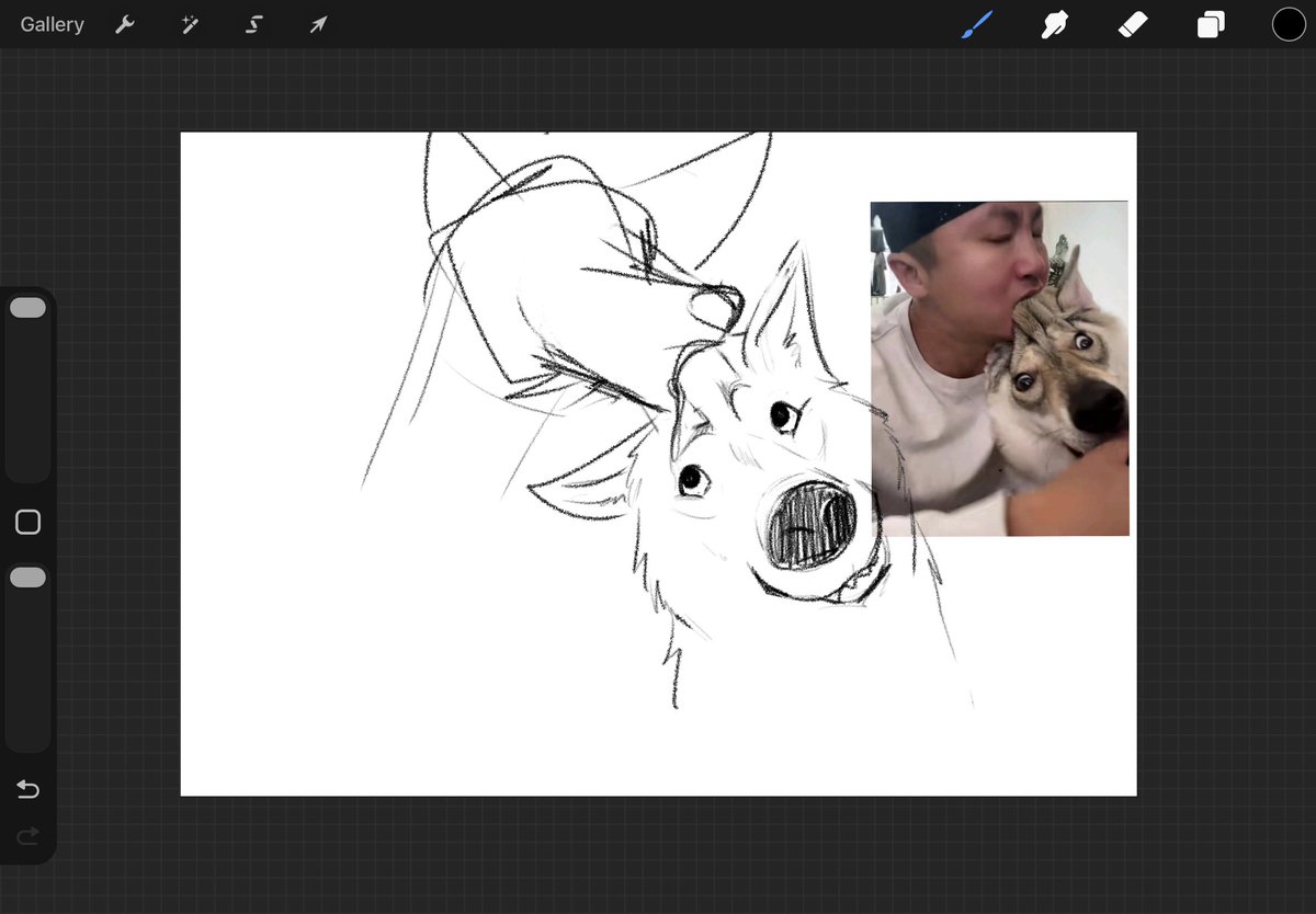 PleaxWolf🐺 tweet media