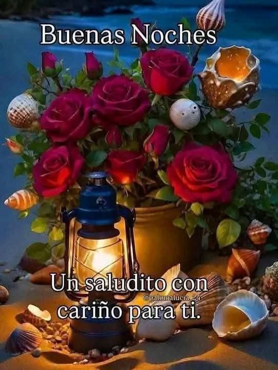 HigaredaLulu's tweet photo. 🌺💡🐚💫🌺💡🐚💫🌺💡🐚💫🌺💡🐚💫🌺💡🐚💫🌺💡🐚💫🌺💡🐚💫🌺💡🐚💫🌺💡🐚💫🌺💡🐚 https://t.co/ZREhmRdCE0