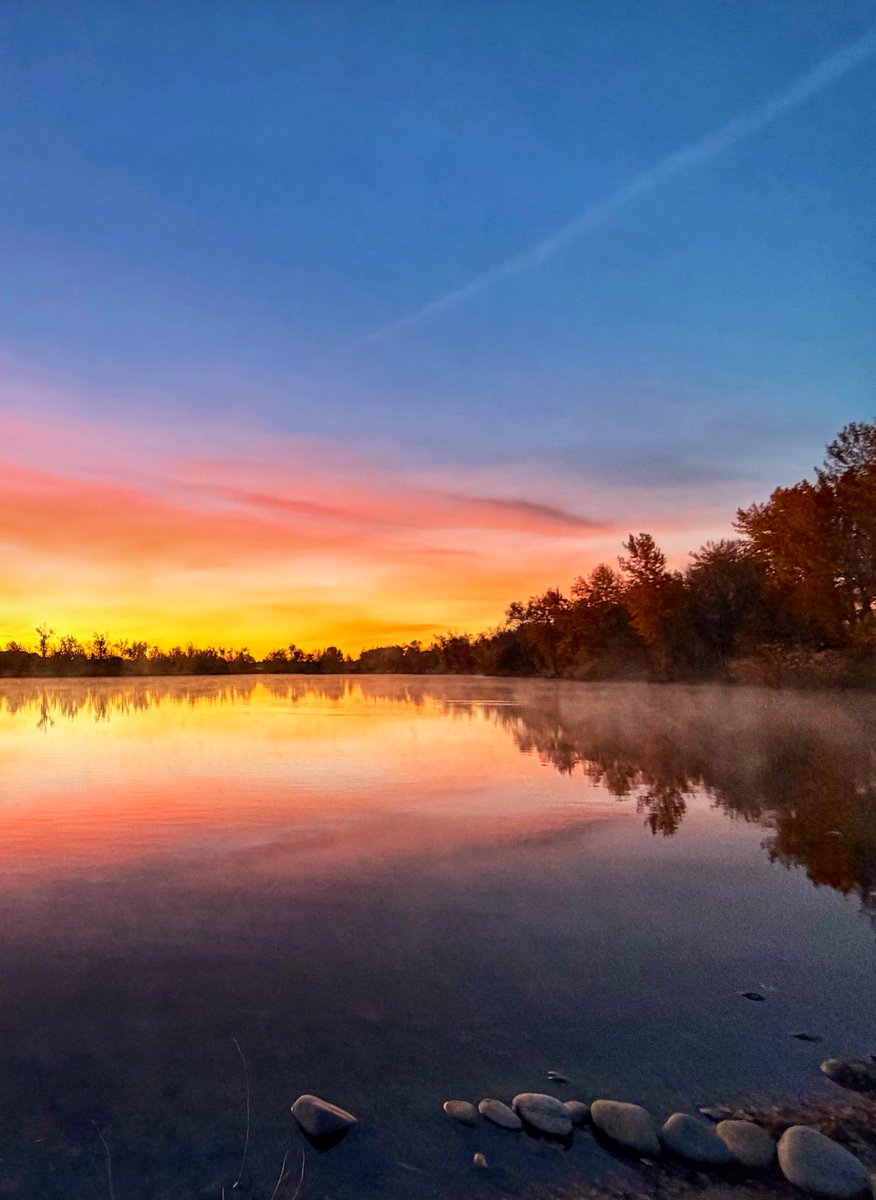 Garrick tweet media