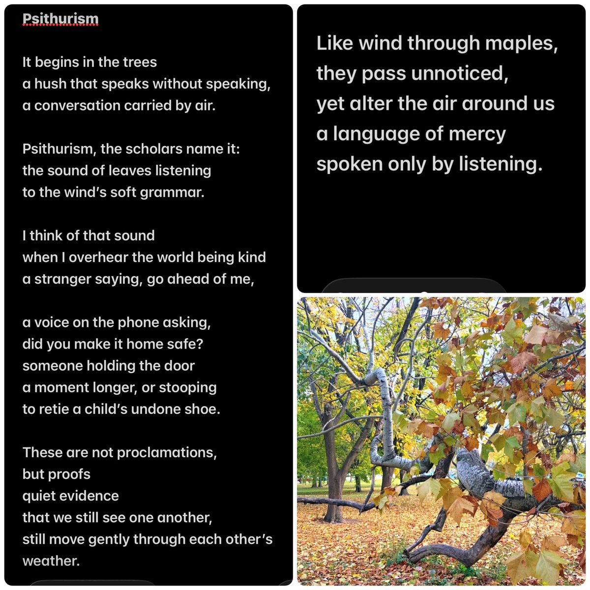 GeometricRabbit's tweet image. #poetry #mercy #listen