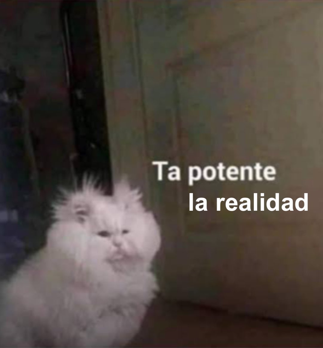 Cami Padua (@camupadua) on Twitter photo 