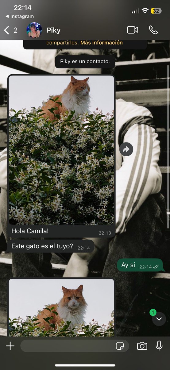 De repente tuve que salir corriendo a buscar a mi gato y me vecina me manda esta foto de la tarde