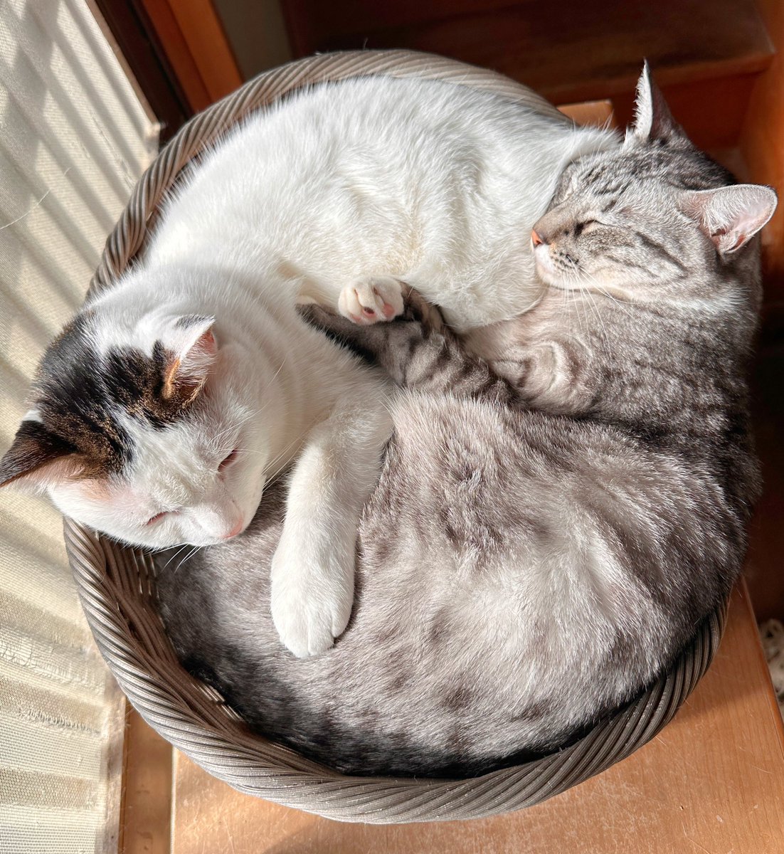 zzr40092 (@zzr40092) / Posts / X