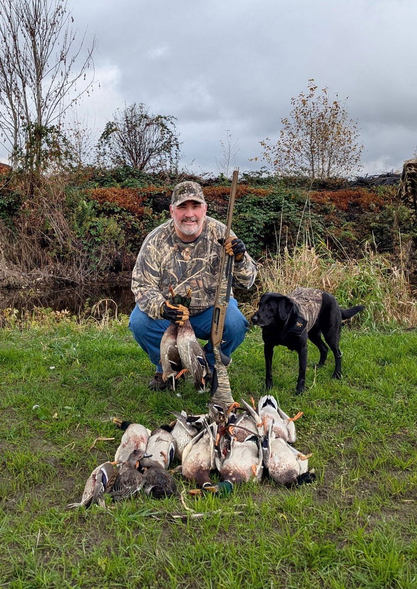 Pittwaterfowler's tweet photo. Productive days this weekend and today in the fields! Birds are piling in and decoying great! #pittwaterfowlers #reliableinthefield #mallards #widgeon #duckblind https://t.co/b5n4HNbMOB