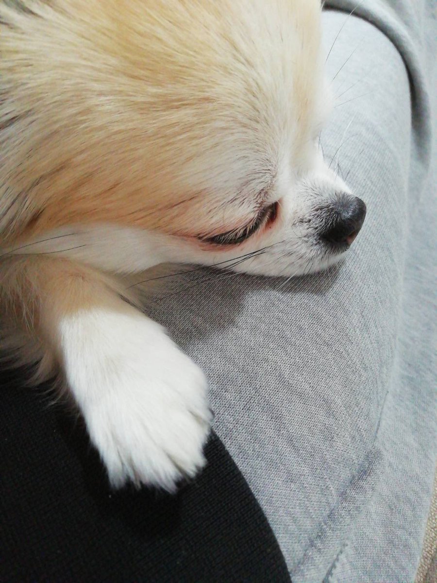 三木眞一郎 on X