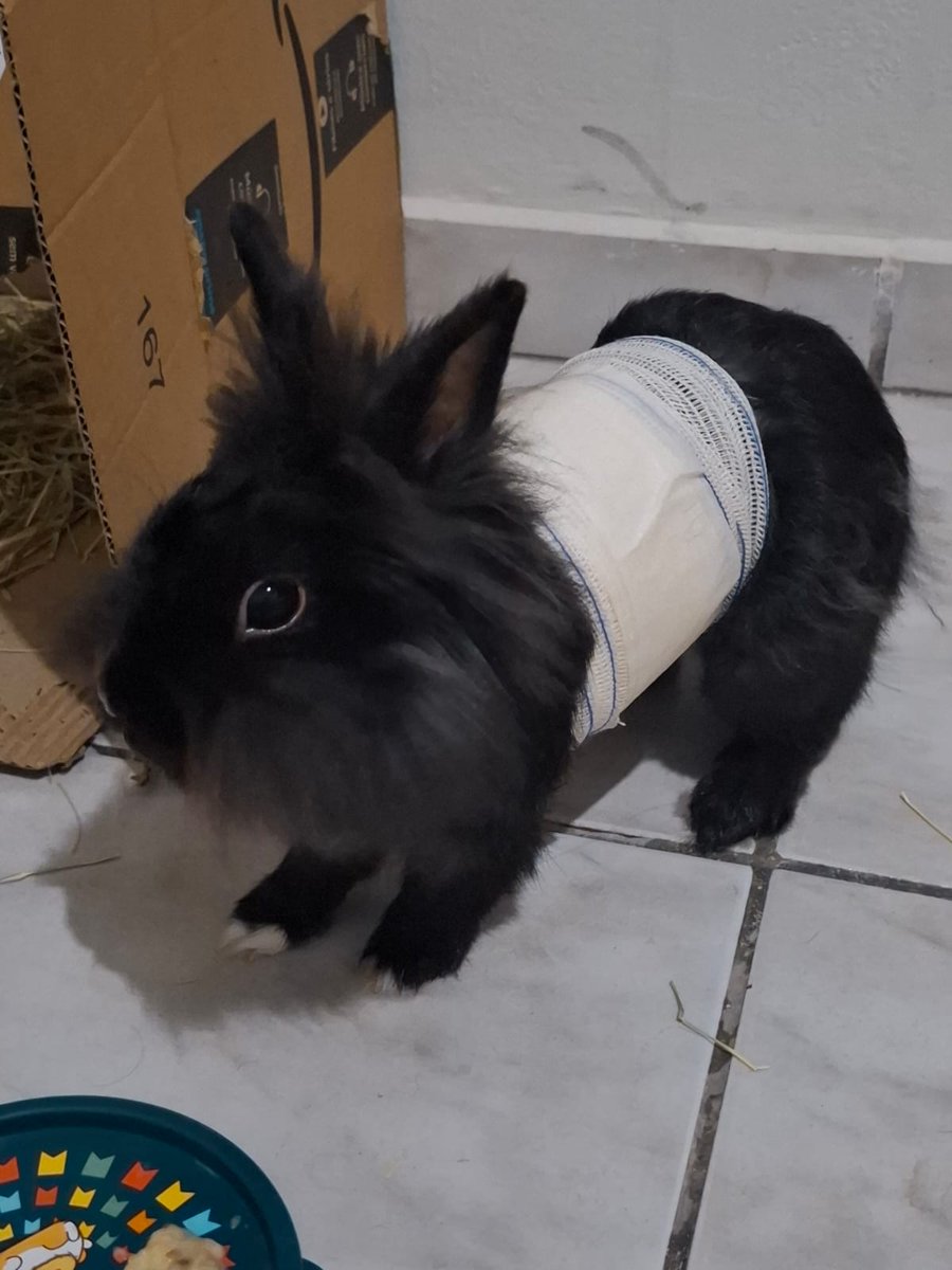 tx 🟢🟩🟢 tweet media