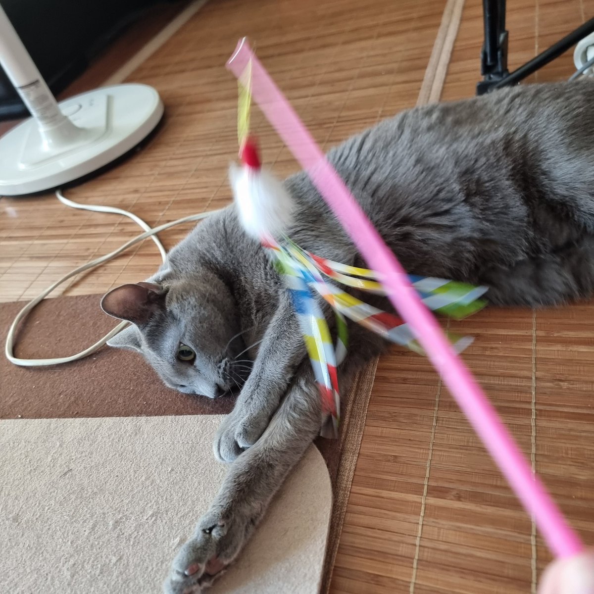 누나가 아침부터 놀아줘요