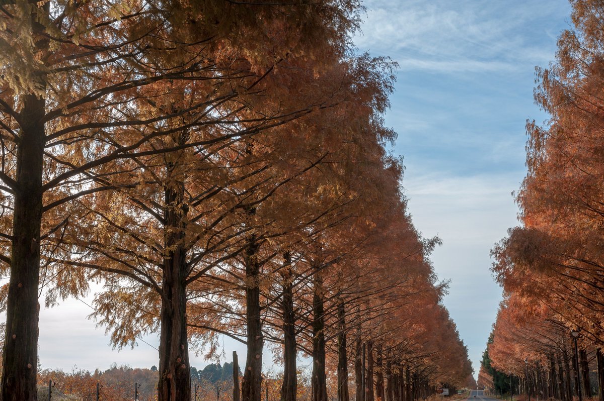 支援は確認と意見合わせを繰り返すことで動いています。昨日も今日も明日も、今日からででも。