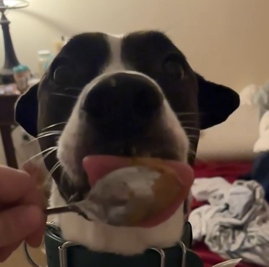 why does he look like that?!