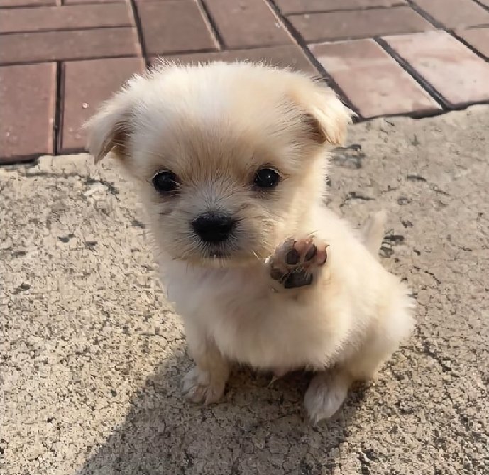 AuggieVelarde's tweet photo. la verdad es que no estoy seguro de todas las cuentas que sigo, a veces son error o al azar. sorry, pero si quieren ser amigos, escribanme 🥺 https://t.co/yeXxpEQFpt